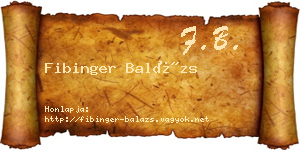 Fibinger Balázs névjegykártya